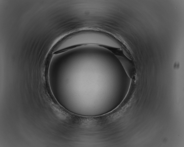 X0000089950830200707131514