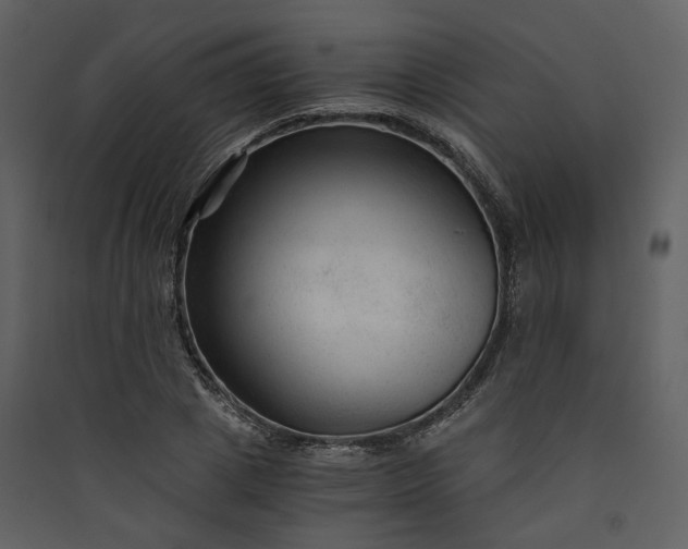 X0000089950833200707131514