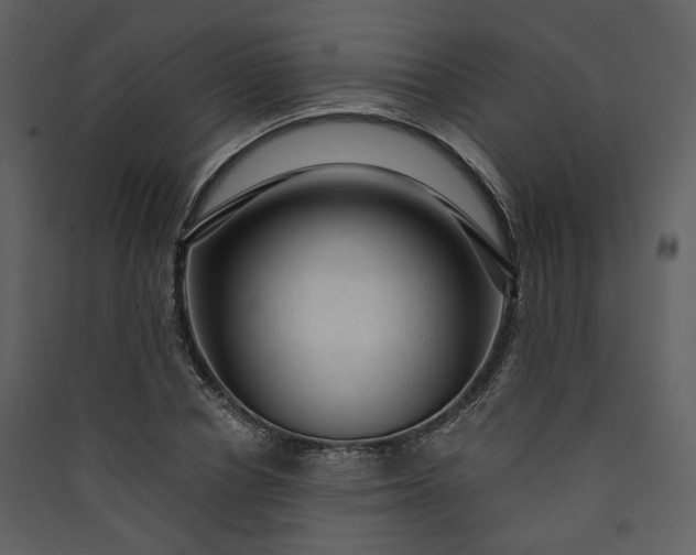 X0000089950834200707131514