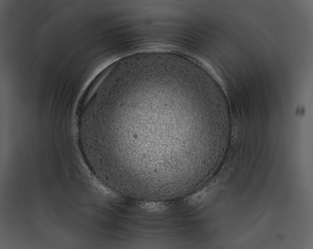 X0000089950835200707131514