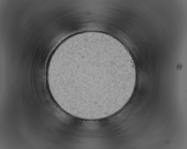 X0000089950836200707131514