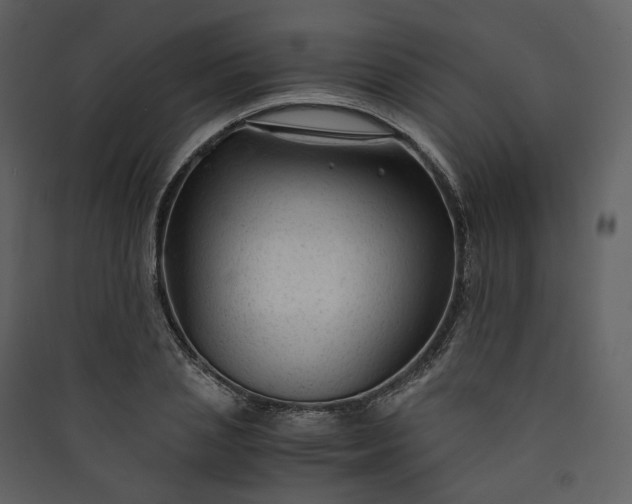 X0000089950837200707131514