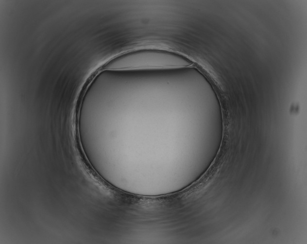 X0000089950840200707131514