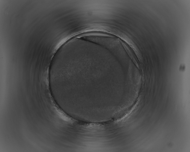 X0000089950842200707131514
