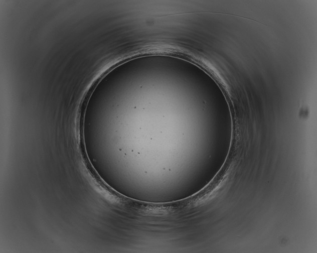 X0000089950843200707131514