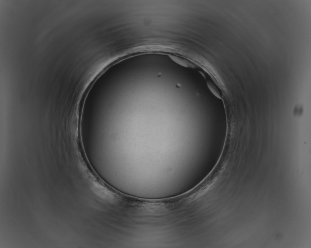 X0000089950844200707131514