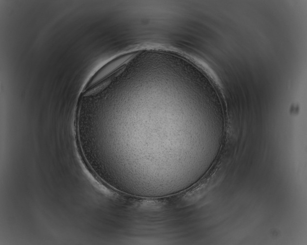 X0000089950847200707131514