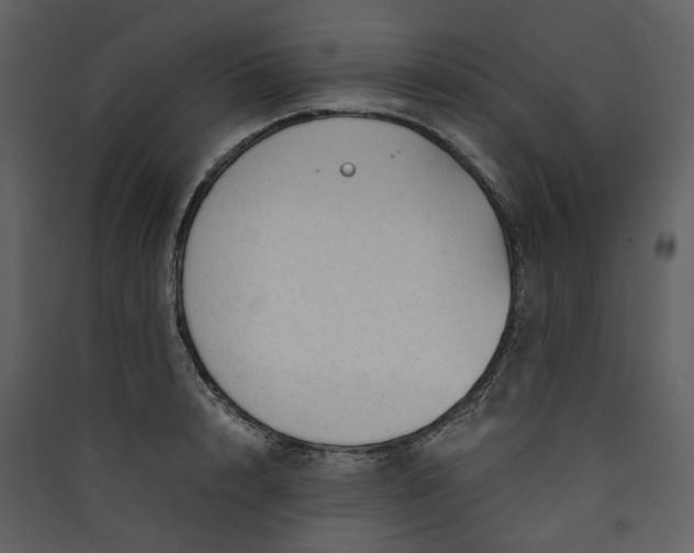 X0000089950848200707131514