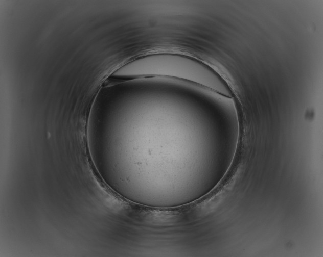 X0000089950849200707131514
