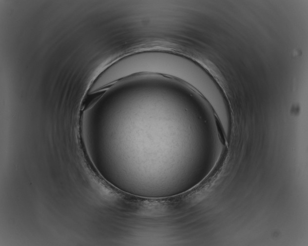 X0000089950850200707131514