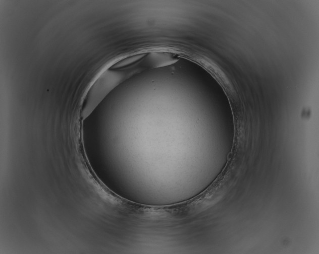 X0000089950852200707131514