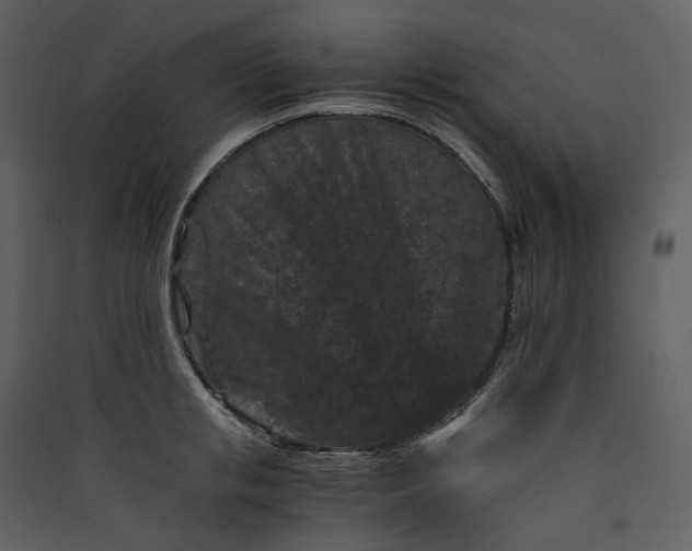 X0000089950853200707131514