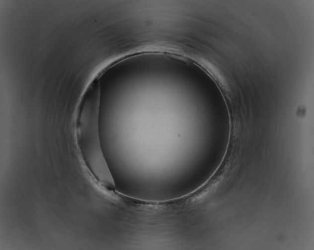 X0000089950854200707131514