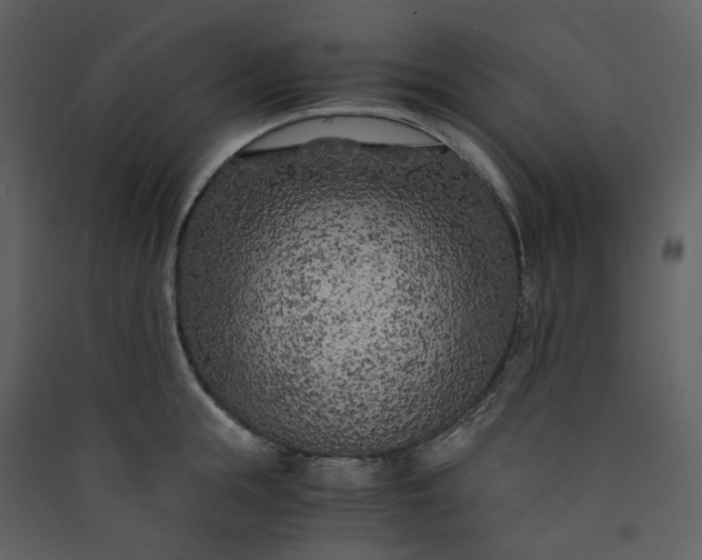 X0000089950855200707131514