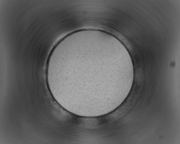 X0000089950856200707131514