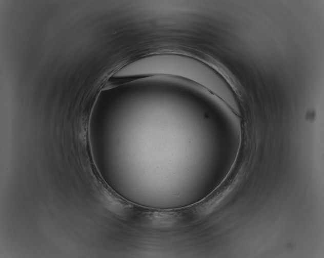 X0000089950857200707131514