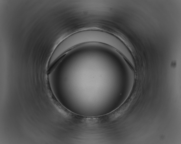 X0000089950858200707131514