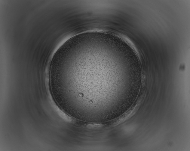 X0000089950859200707131514