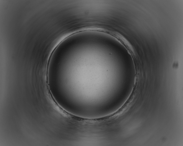 X0000089950860200707131514
