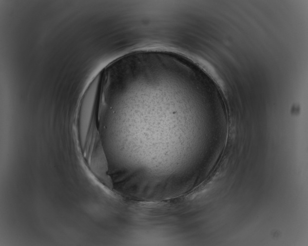 X0000089950863200707131514