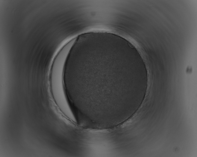 X0000089950864200707131514