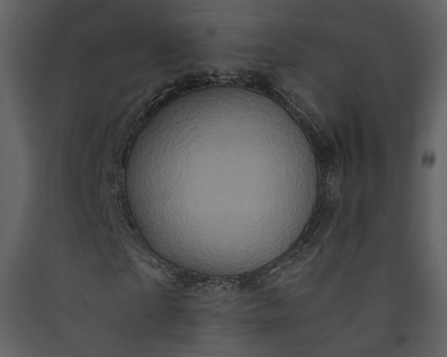 X0000089950865200707131514