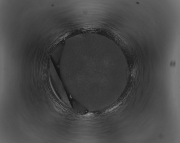 X0000089950868200707131513