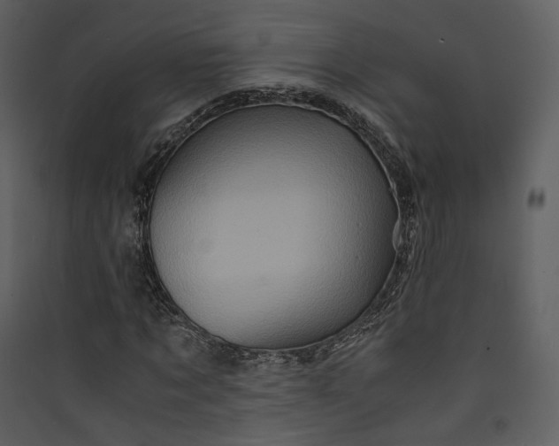 X0000089950869200707131513