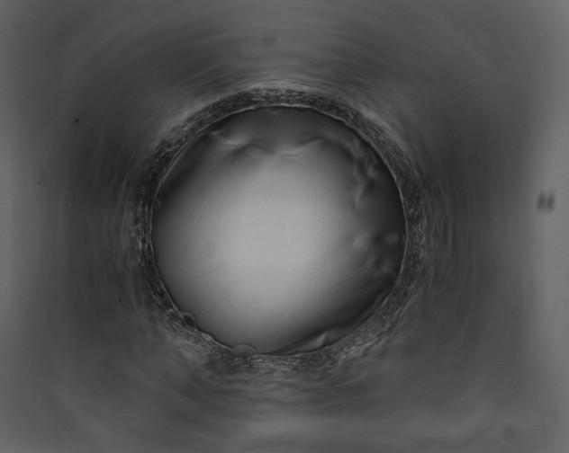 X0000089950870200707131513