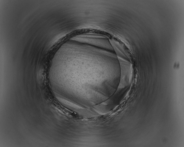 X0000089950872200707131513
