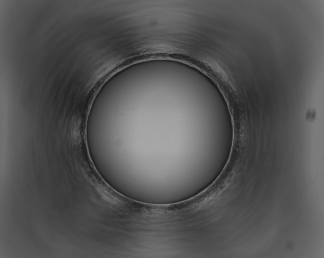 X0000089950873200707131513