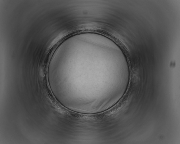 X0000089950874200707131513