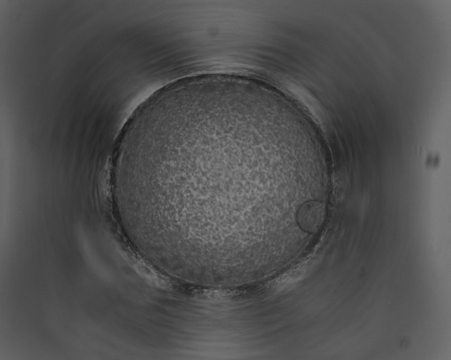 X0000089950875200707131513