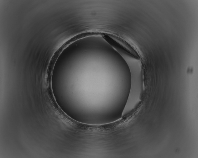 X0000089950876200707131513
