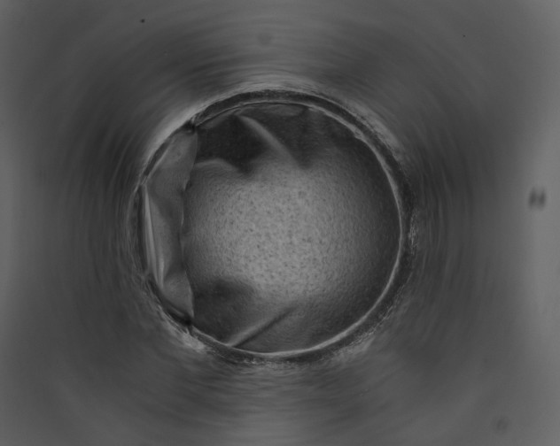 X0000089950877200707131513
