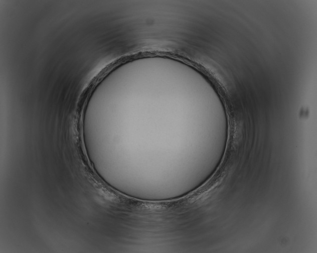 X0000089950878200707131513
