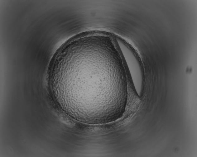 X0000089950879200707131513