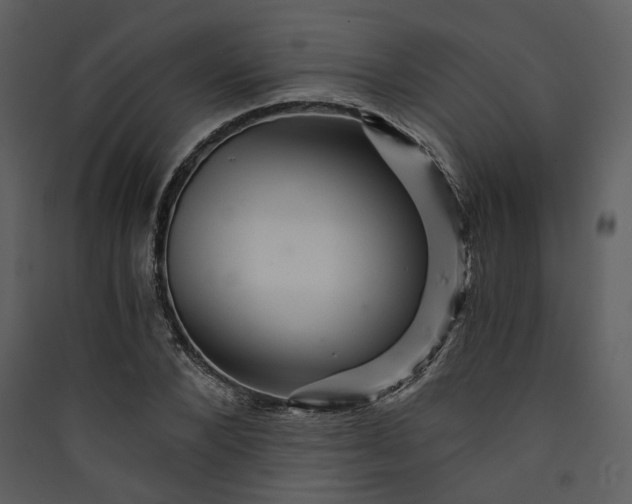 X0000089950880200707131513