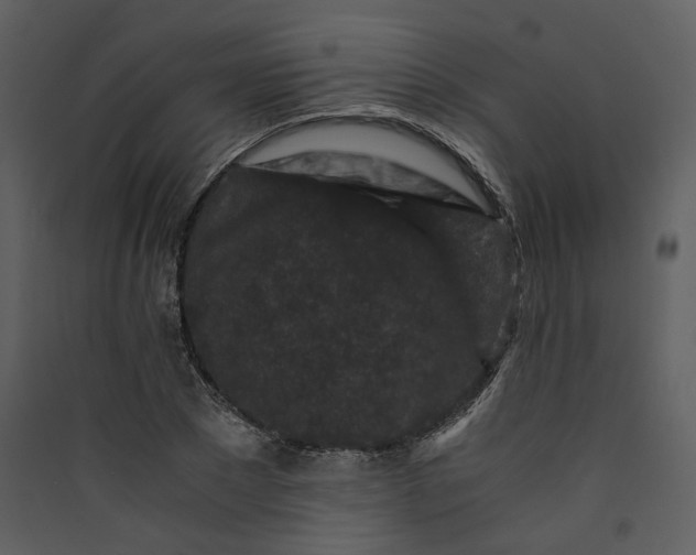 X0000089950881200707131513