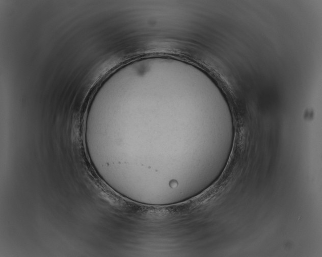 X0000089950882200707131513