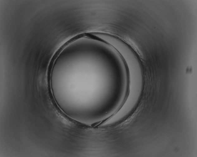 X0000089950884200707131513