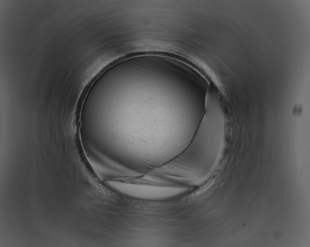 X0000089950885200707131513