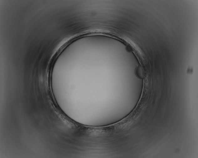 X0000089950886200707131513