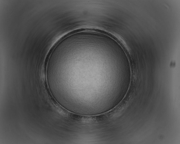 X0000089950887200707131513