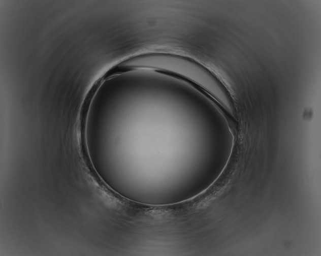 X0000089950888200707131513