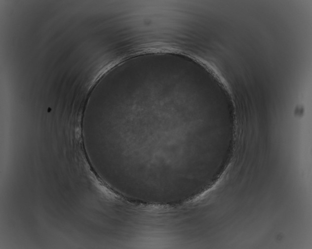 X0000089950889200707131513