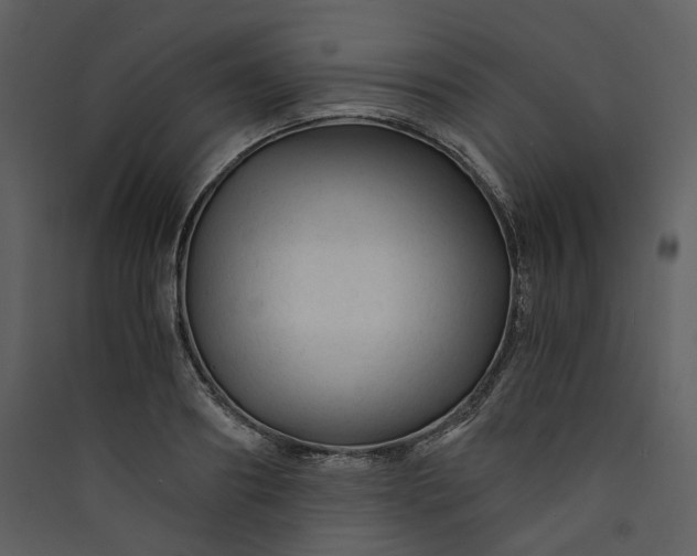 X0000089950890200707131513