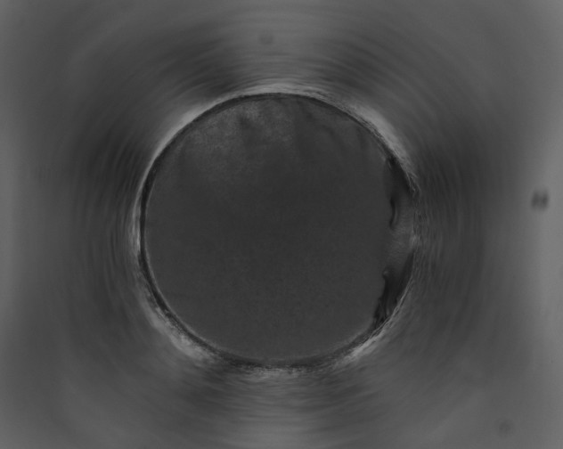 X0000089950892200707131513