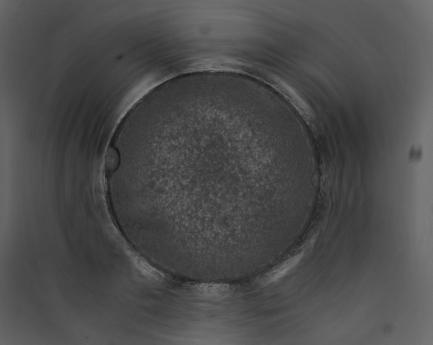 X0000089950893200707131513