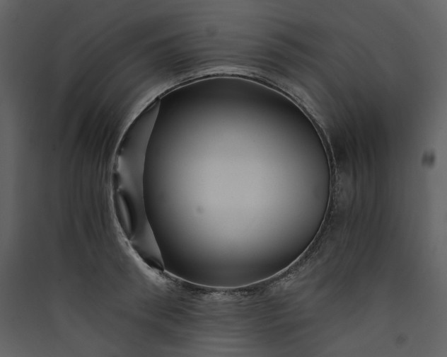 X0000089950898200707131513